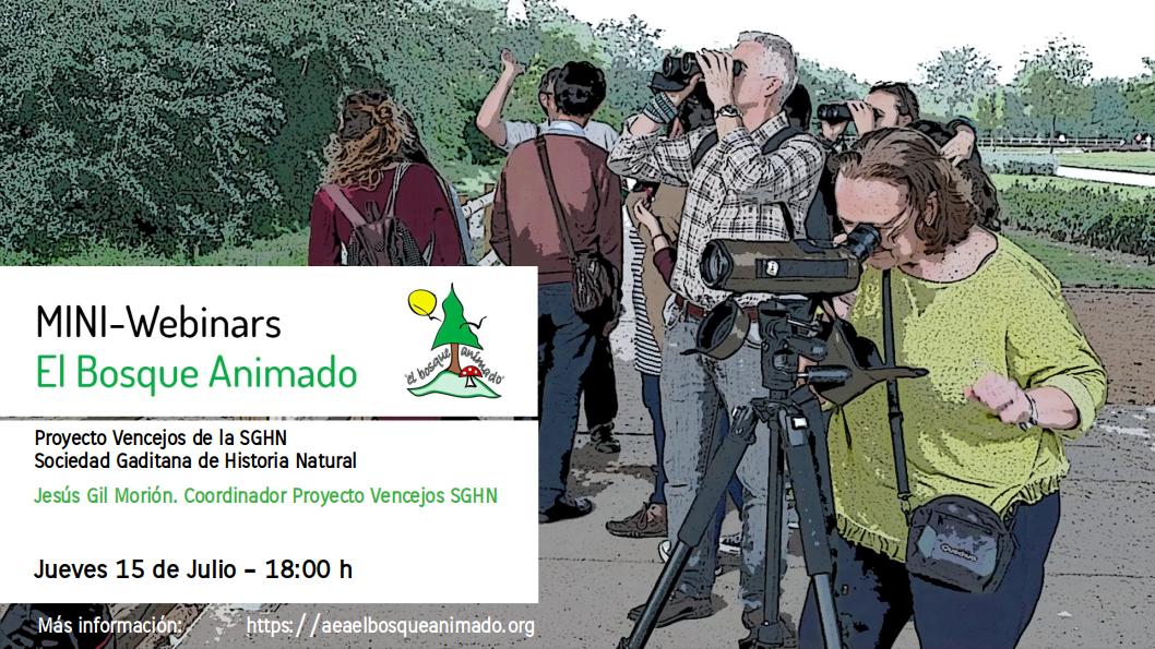 Mini webinar animado n5 Vencejos