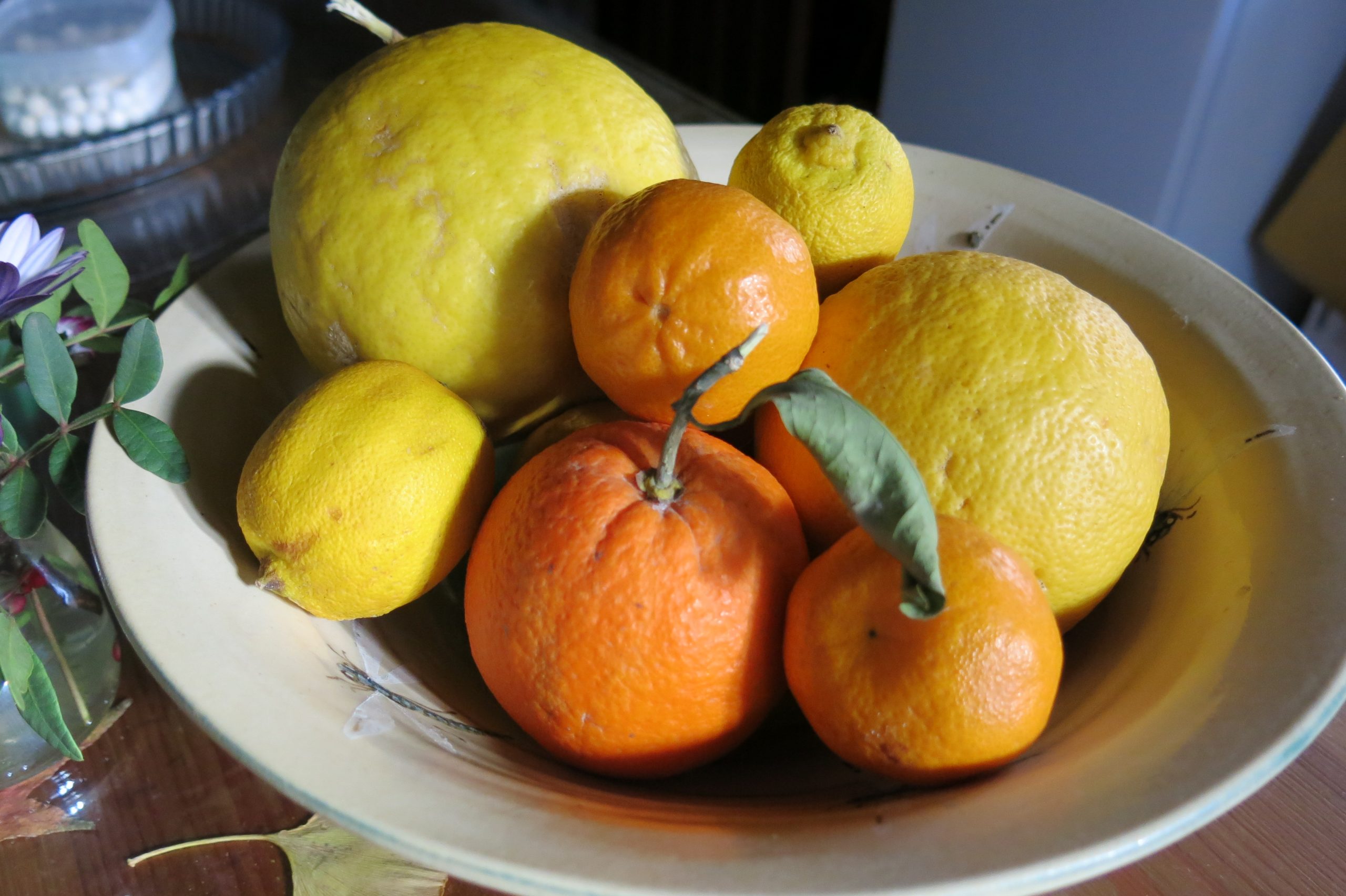 Citricos