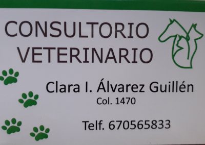 Clínica Veterinaria
