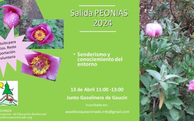 Salida Peonías 13 Abril