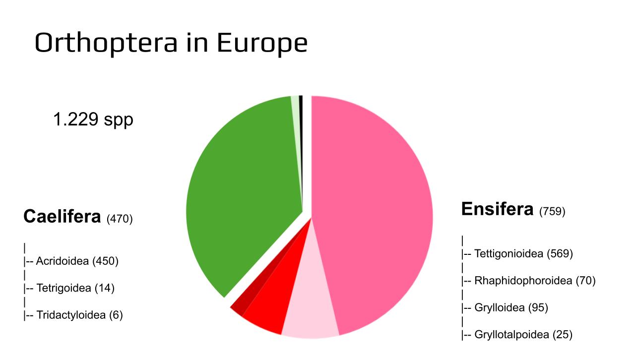 2025-01 Latvia talk Orthoptera in Europe