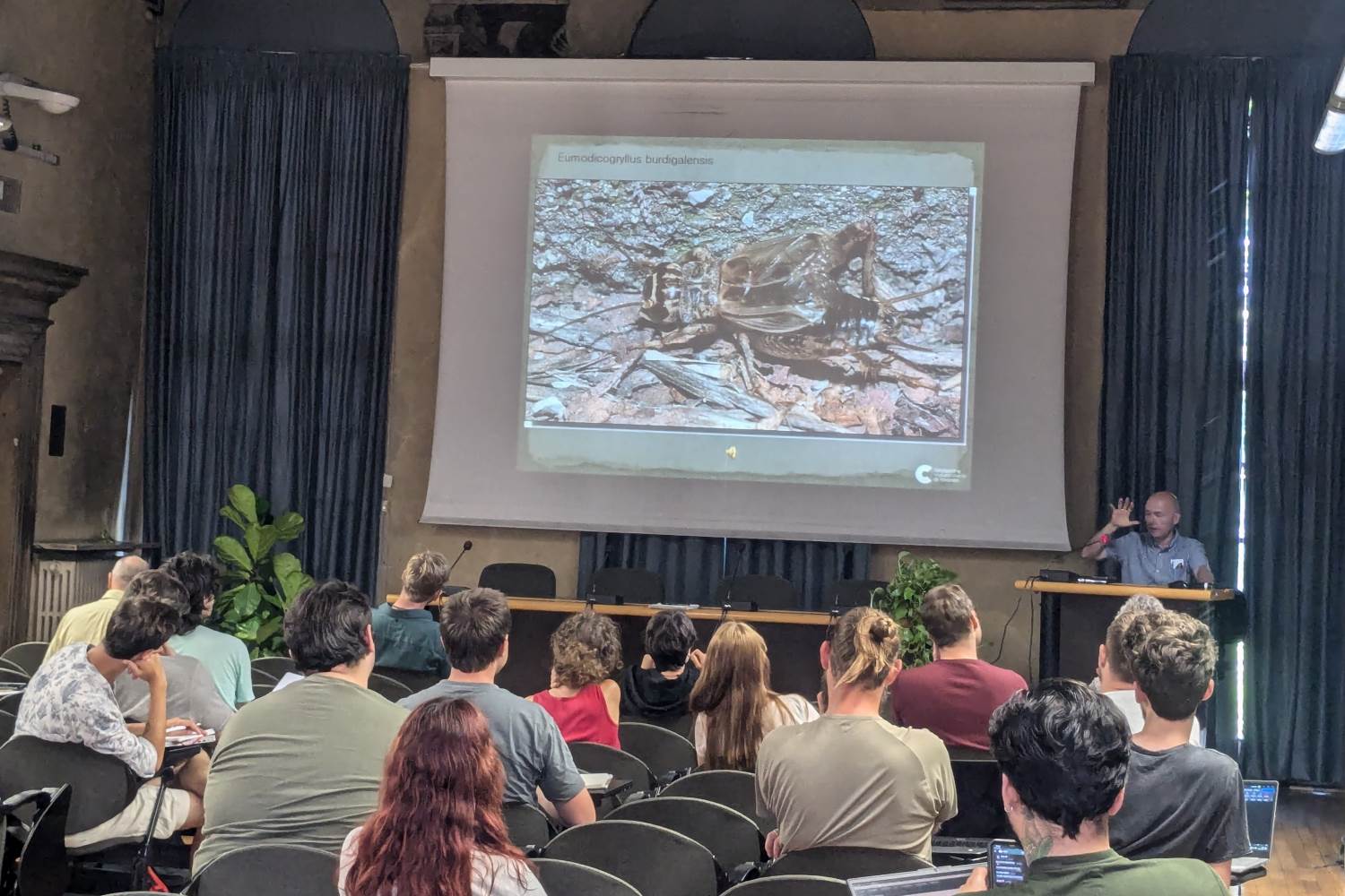 PXL_20240708_084414501