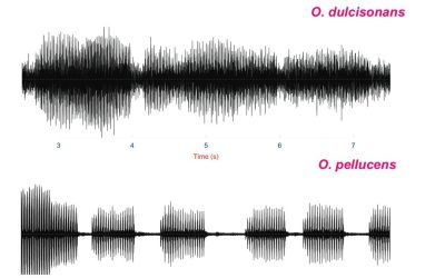 TEOSS-TETTRIS, towards the end