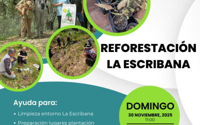 Voluntariado ambiental MicroCLIMAS